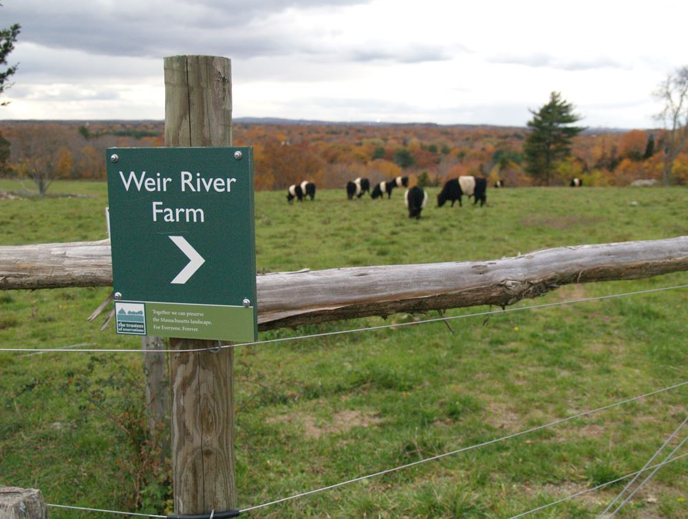 Weir River Farm near Turkey Hill